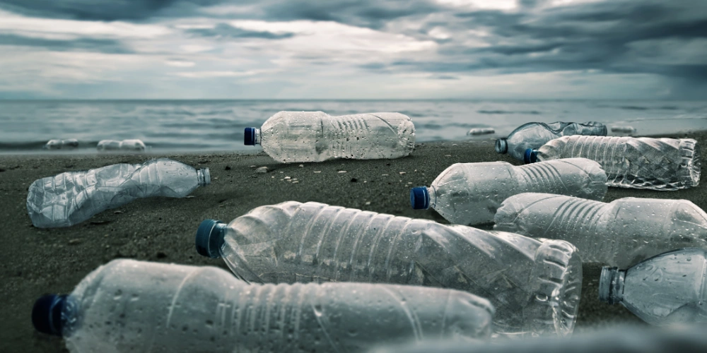 LA POLLUTION PAR LE PLASTIQUE